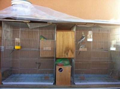 IMG_1344 (Large).JPG