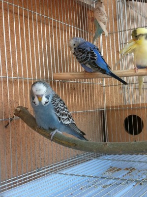 IMG_1348 (Medium).JPG