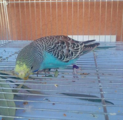 Photo034 (Large).jpg