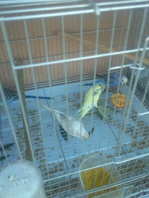 Photo038 (Large).jpg