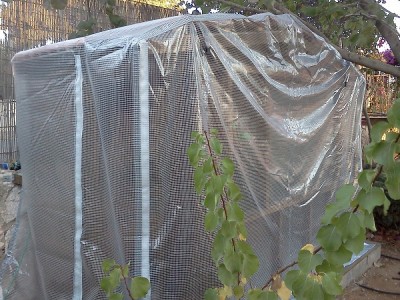 IMG395.jpg