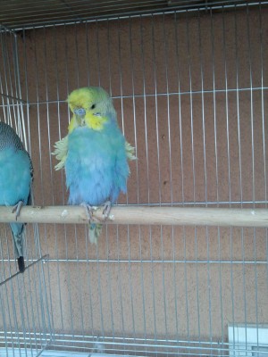 Photo018 (Large).jpg