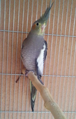 Photo096 - עותק (Large).jpg