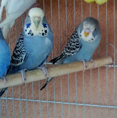 Photo090 (Large) - עותק.jpg