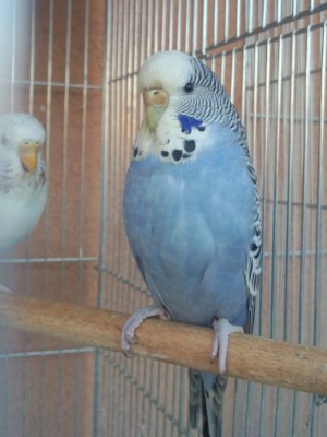 Photo177 (Large).jpg