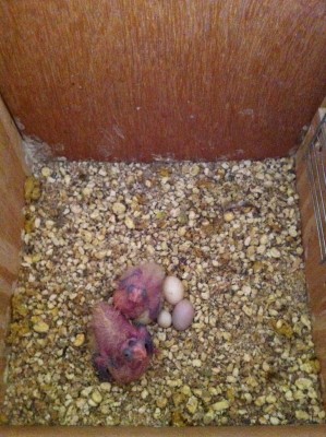 IMG_1477 (Medium).JPG