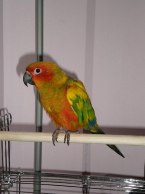 p3290303ux7.jpg