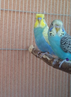 Photo021 (Large).jpg