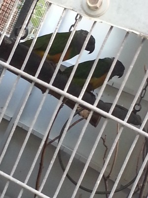 20130121_113350.jpg