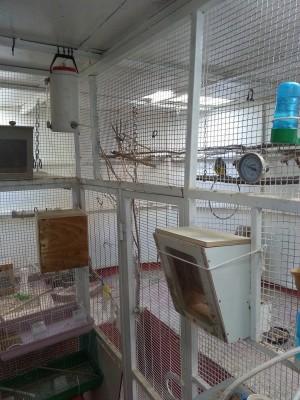 20130121_113815.jpg