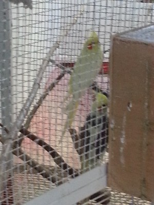 20130121_113830.jpg