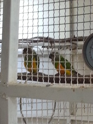 20130121_113841.jpg
