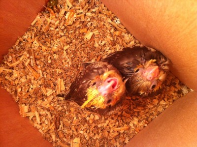 IMG_1575 (Medium).JPG