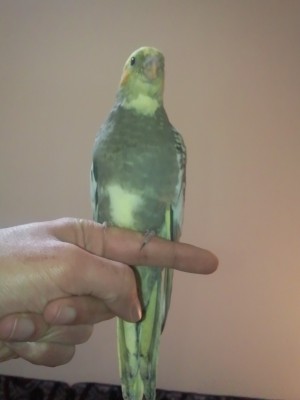 Photo109 (Large).jpg