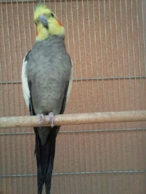 Photo002 (Large).jpg