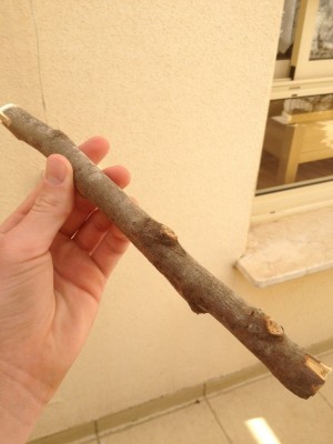 ImageUploadedByTapatalk1365336554.120807.jpg