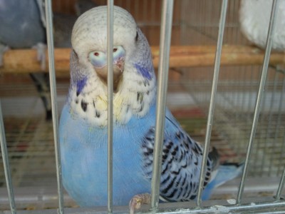 Photo021 (Large).jpg