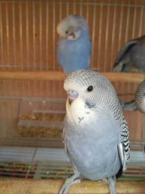 Photo024 (Large).jpg