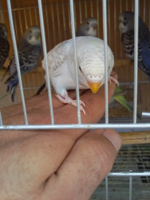 Photo002 (Large).jpg