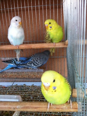 IMG_2181 (Medium).JPG