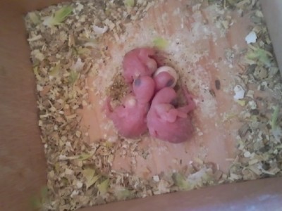 Photo038 (Large).jpg