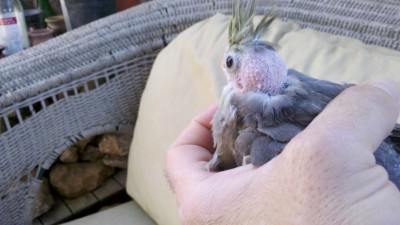 2013-06-26_08-25-49_395 (Small).jpg