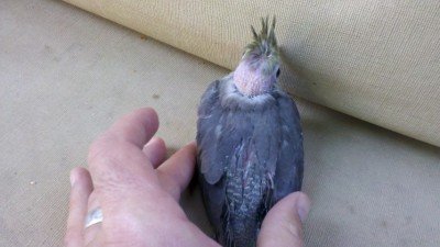 2013-06-26_08-25-38_21 (Small).jpg