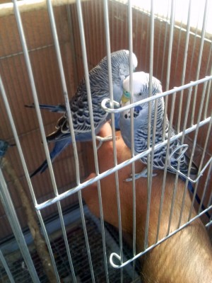 Photo039 (Large).jpg