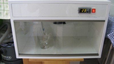 IMG_2411_1.jpg