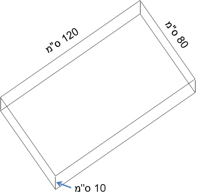 התוצאה הסופית <br />המגש