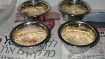 IMG_2417_1.jpg