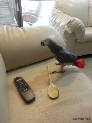 ובלי קשר - מישהי אוהבת צעצועים לא קונבנציונילים