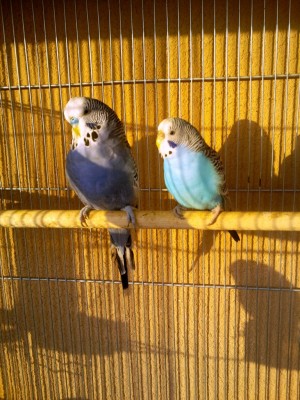 Photo025 (Medium).jpg