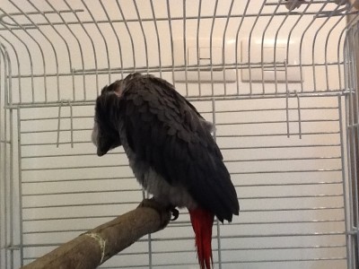 zzzzz....zzzzzz....zzzzz......