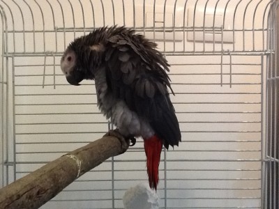 אה? מה?? מה את מצלמת אותי???