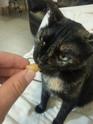 היא אוהבת במבה....