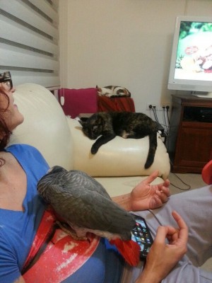 ואחת של כל החבורה, ישנים שנת ישרים