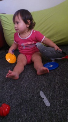 גיא וצרלי 1.jpg