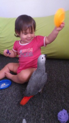 גיא וצרלי 3.jpg