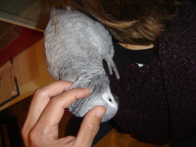Picture 1012.jpg