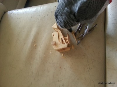 מה שנשאר מהדחפור אחרי בערך חמש דקות.