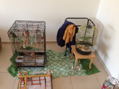 הכלובים הישנים