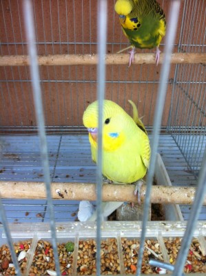 IMG_2872 (Medium).JPG