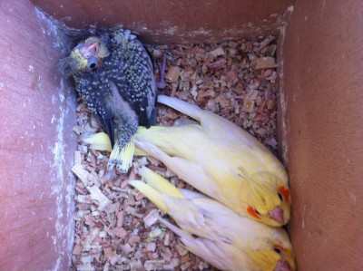 IMG_2859 (Medium).JPG