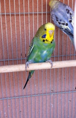 IMG_2850 (Medium).JPG