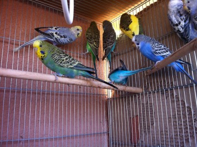 IMG_2851 (Medium).JPG