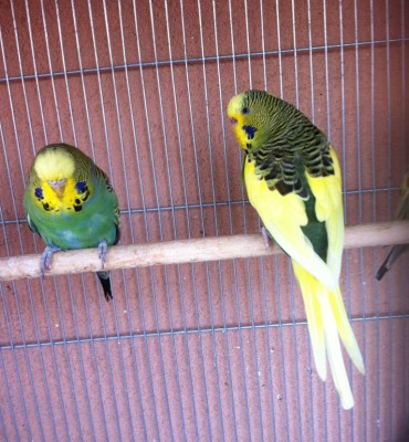 IMG_2861 (Medium).JPG