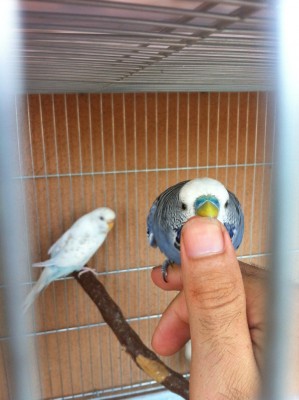 IMG_2856 (Medium).JPG