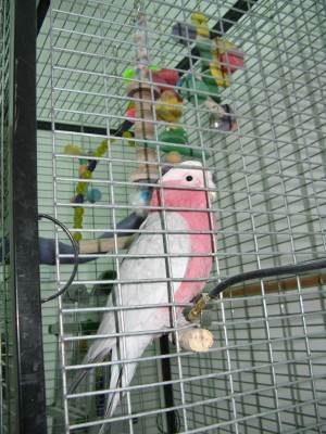 IMG_2447_2.JPG