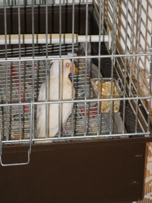 IMG_2449_1.JPG
